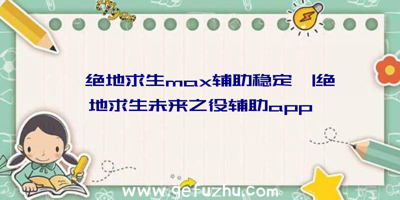 「绝地求生max辅助稳定」|绝地求生未来之役辅助app